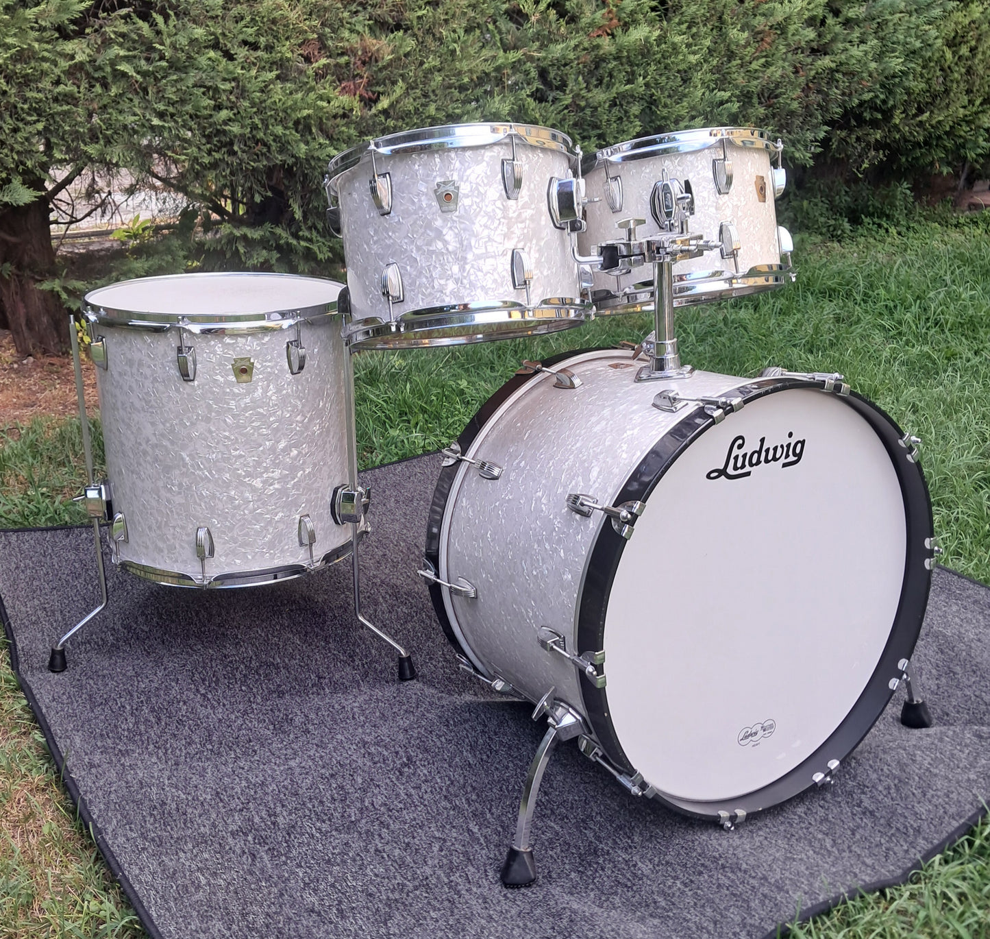 Batteria Ludwig Classic Maple