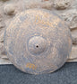 Meinl Byzance Vintage Pure Crash 20